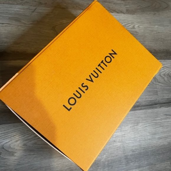 Louis Vuitton Wool Silk Logomania Shine Scarf - Picture 4 of 5